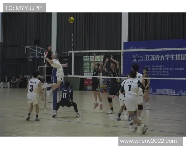 杭州排球队在精英赛中的团队协作表现分析与点评