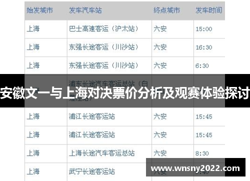 安徽文一与上海对决票价分析及观赛体验探讨
