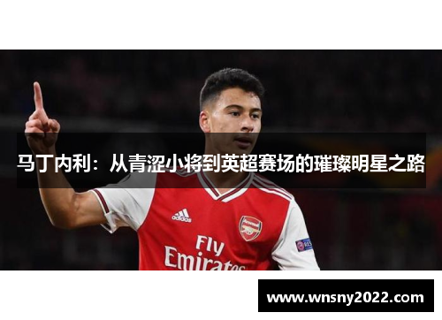 马丁内利：从青涩小将到英超赛场的璀璨明星之路